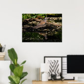 ヨーロッパカメ ポスター (ホームオフィス)