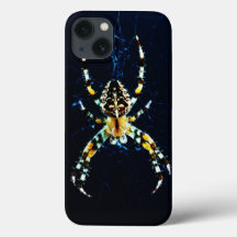 ヨーロッパガーデンスパイダーイフクnm