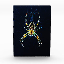 ヨーロッパガーデンスパイダーパクナ フォトブロック