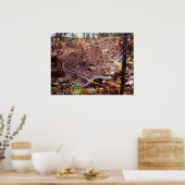 ヨーロッパガーデンスパイダーポスターくもの巣 ポスター (キッチン)