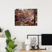 ヨーロッパガーデンスパイダーポスターくもの巣 ポスター (ホームオフィス)