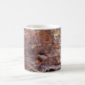 ヨーロッパガーデンスパイダーマグのくもの巣 コーヒーマグカップ (中央)
