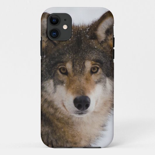 ヨーロッパグレイ Case-Mate iPhoneケース (裏面)