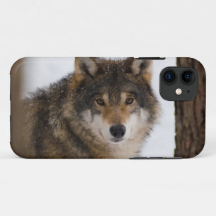 ヨーロッパグレイ iPhone 11 ケース