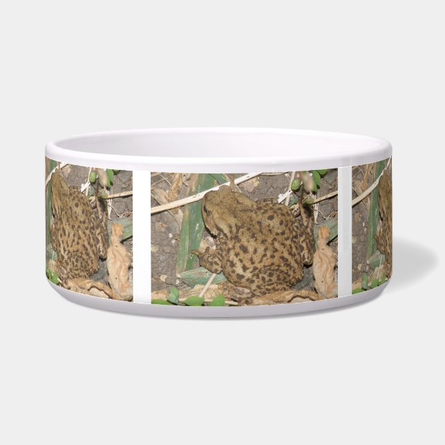 ヨーロッパコモントボール ボウル (左)