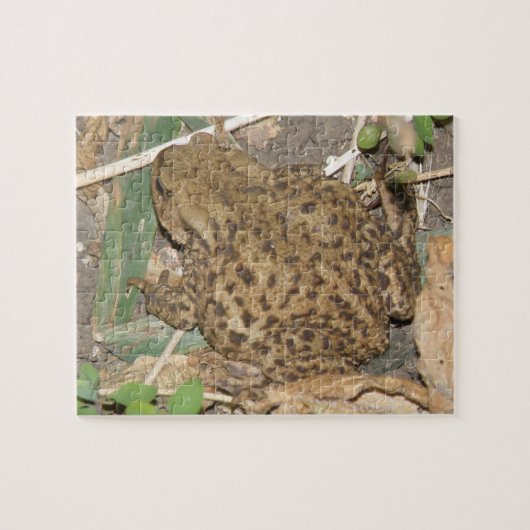 ヨーロッパコモンパズル ジグソーパズル (横)