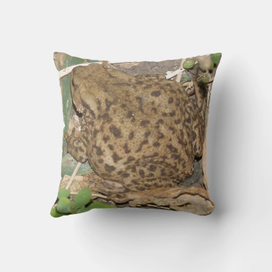 ヨーロッパコモン足枕 クッション (裏面)