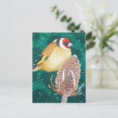 ヨーロッパゴールドフィンチ ポストカード