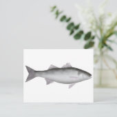 ヨーロッパシーバス ポストカード (スタンド正面)