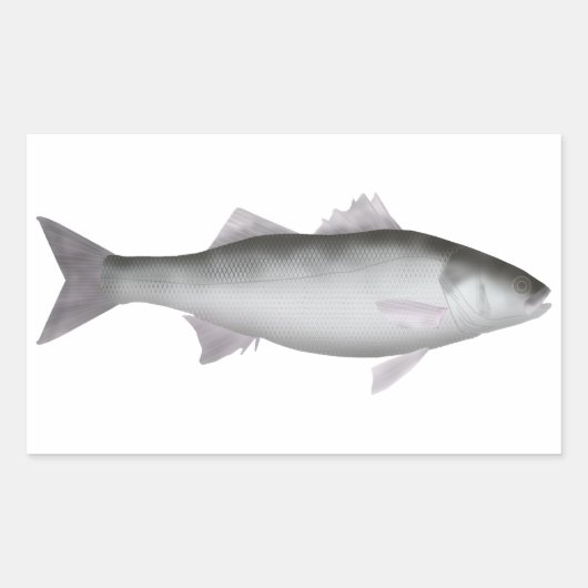 ヨーロッパシーバス 長方形シール (正面)