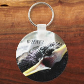 ヨーロッパスターリングキーチェーン キーホルダー (正面)