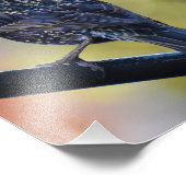 ヨーロッパスターリング フォトプリント            (角)