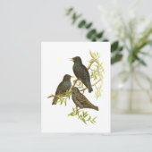 ヨーロッパスターリング ポストカード (スタンド正面)