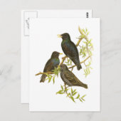 ヨーロッパスターリング ポストカード (正面/裏面)