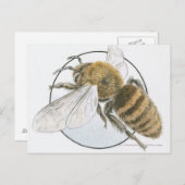 ヨーロッパハニービーイラストレーション ポストカード (正面/裏面)
