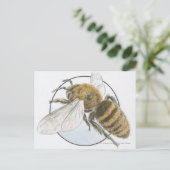 ヨーロッパハニービーイラストレーション ポストカード (スタンド正面)