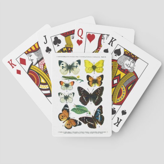 ヨーロッパバタフライプレートII トランプ (裏面)