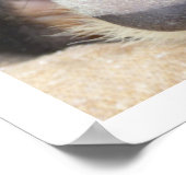 ヨーロッパバッジャー ポスター (角)