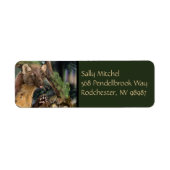 ヨーロッパパインマルテン ラベル (正面)