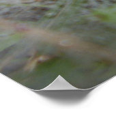 ヨーロッパファネルくもの巣スパイダーポスター ポスター (角)