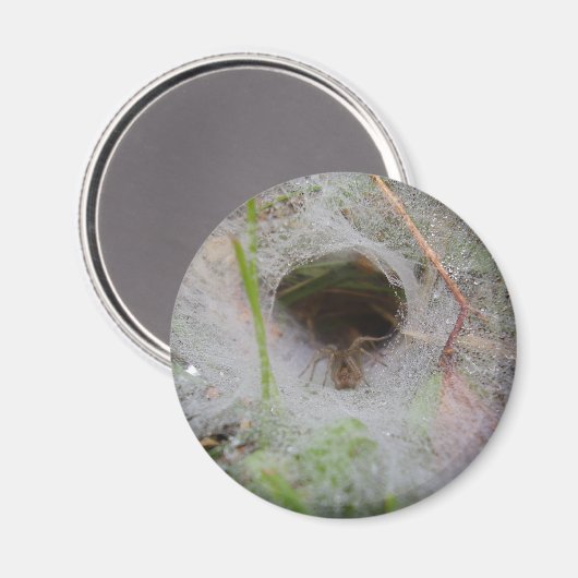 ヨーロッパファネルくもの巣スパイダーマグネット マグネット (正面/裏面)