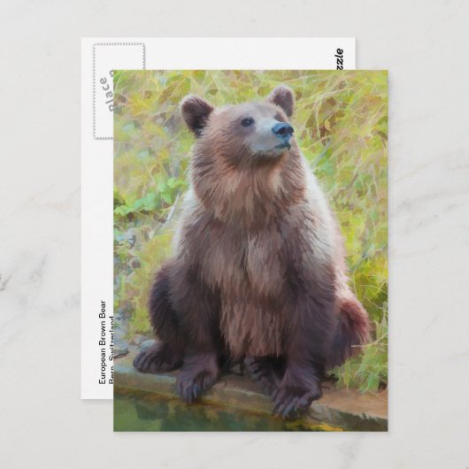 ヨーロッパブラウンベアインベルンベアパーク ポストカード (正面/裏面)