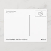 ヨーロッパブラウンベアインベルンベアパーク ポストカード (裏面)