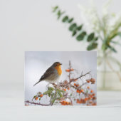 ヨーロッパロビンとオレンジベリー ポストカード (スタンド正面)