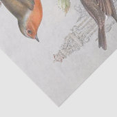 ヨーロッパロビンバードガーデンヴィンテージデコページ 薄葉紙 (詳細)