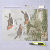 ヨーロッパロビンバードガーデンヴィンテージデコページ 薄葉紙 (クラフト)