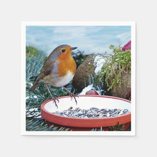 ヨーロッパロビンフィーダー写真 スタンダードカクテルナプキン (正面)