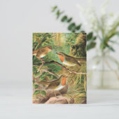 ヨーロッパロビンヴィンテージバードイラストレーション ポストカード (スタンド正面)