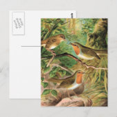 ヨーロッパロビンヴィンテージバードイラストレーション ポストカード (正面/裏面)