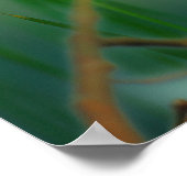 ヨーロッパロビン ポスター (角)