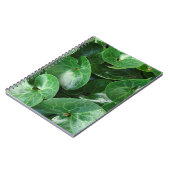 ヨーロッパワイルドジンジャー光沢葉のあるのクローズアップ写真 ノートブック (左側)