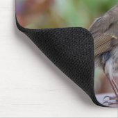 ヨーロッパ人のロビンのマウスのマット マウスパッド (コーナー)