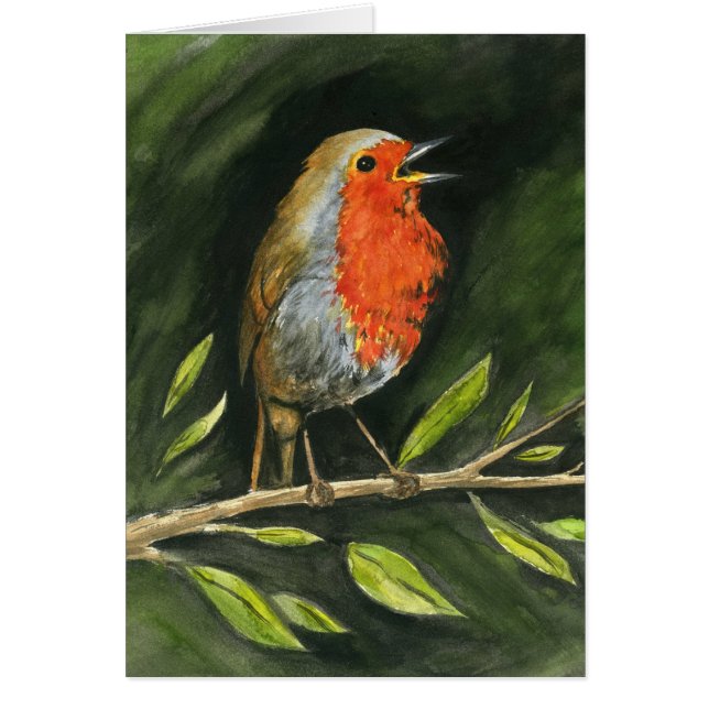 ヨーロッパ人ロビン (正面)