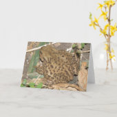 ヨーロッパ共通のToadグリーティングカード カード (黄色い花)