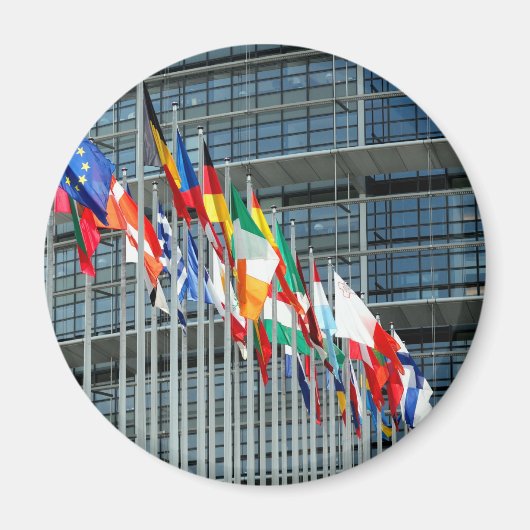 ヨーロッパ国旗 マグネット (正面)