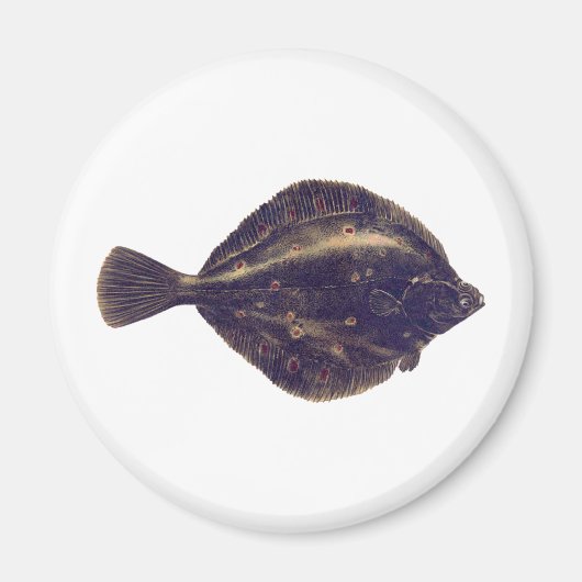 ヨーロッパ平面 マグネット (正面)