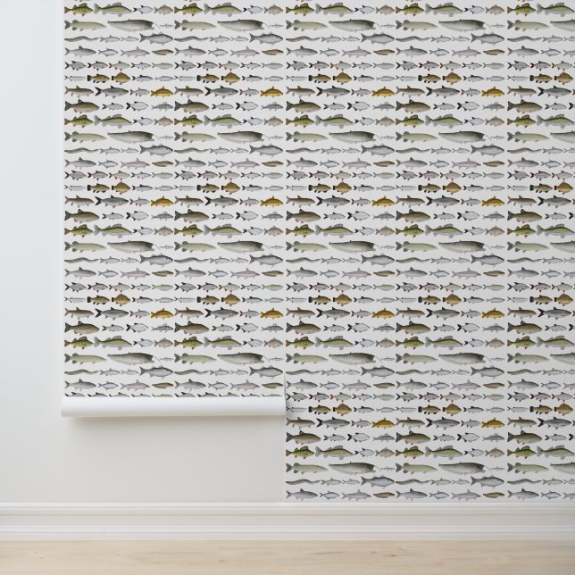 ヨーロッパ淡水魚グループ 壁紙 (アプリケーション)