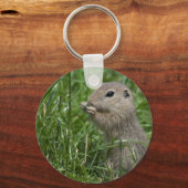 ヨーロッパ産リス キーホルダー (正面)
