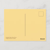 ヨーロッパ紙ワスプ(ポリストドミヌラ)ドローン ポストカード (裏面)