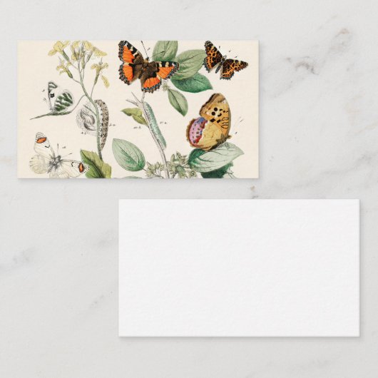 ヨーロッパ蝶の蛾ウイリアムフォルセルカービー 名刺 (正面/裏面)