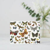 ヨーロッパ蝶コラージュ ポストカード (スタンド正面)
