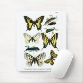 ヨーロッパ蝶プレートI マウスパッド (マウス)