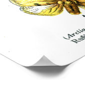 ヨーロッパ蝶 ポスター (角)