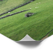 ヨーロッパ、アイルランド、ケリー郡、ケリーのリングや輪。 ポスター (角)