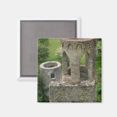 ヨーロッパ、アイルランド、ブラニー城。この画像 マグネット (正面/裏面)