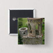 ヨーロッパ、アイルランド、ブラーニー城。このイメージ 缶バッジ (正面&裏面)